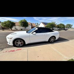 Mustang Ecoboost 2016