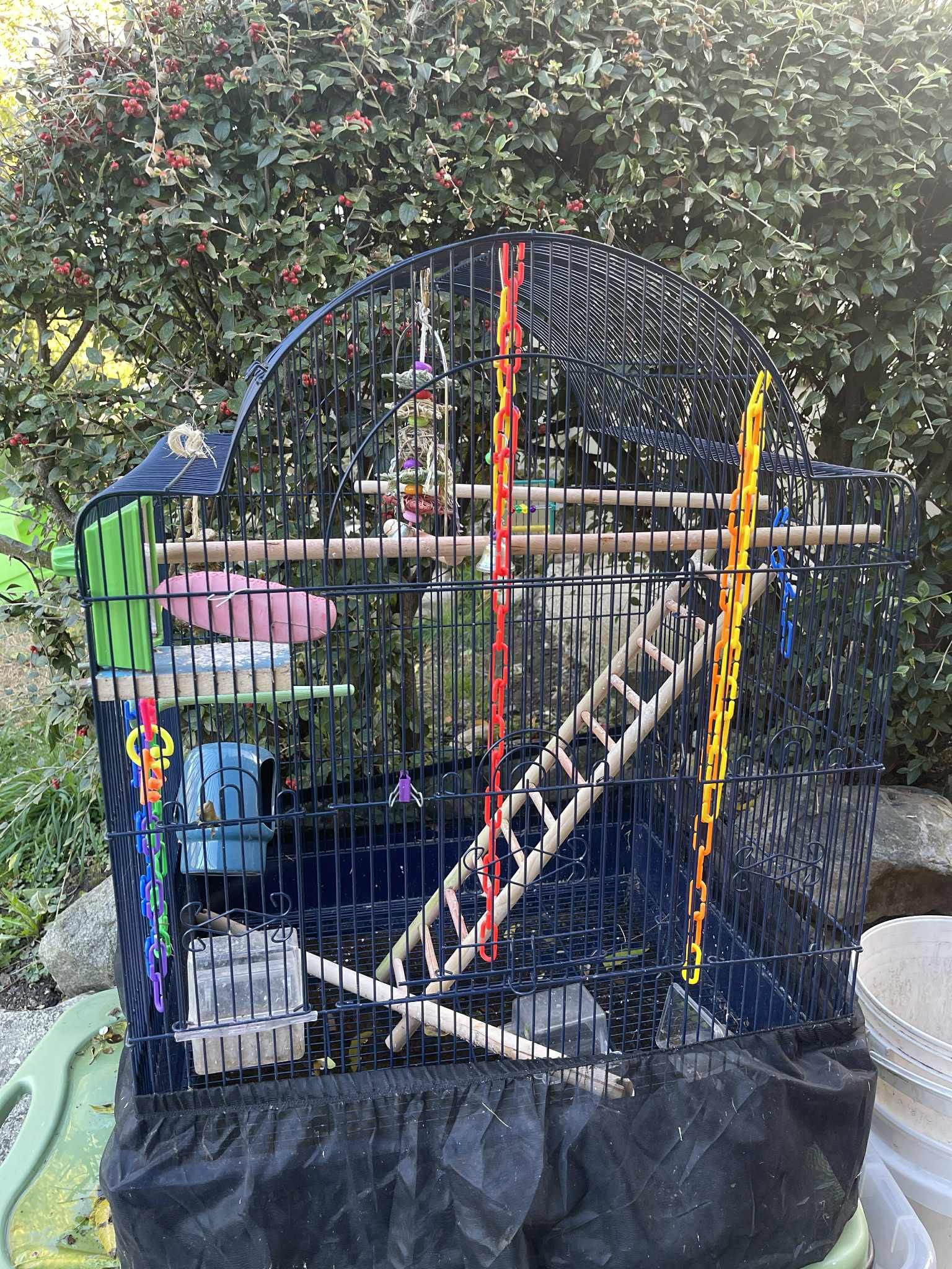 Bird Cage