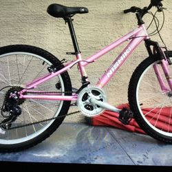Bike 24”