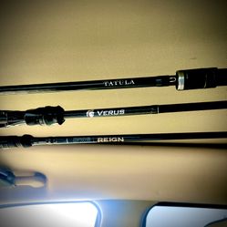 Daiwa Tatula, St. Croix, Kast King casting rods