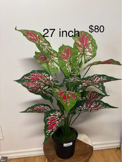 Artificial plant ( brand new )