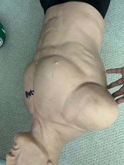 Bob Century punching bag