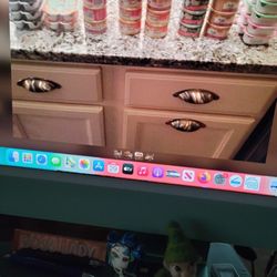 Canned Cat Food  .65 Cents A Can