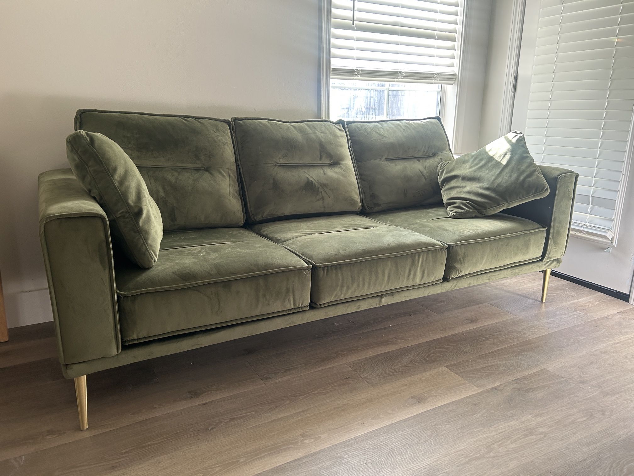 Attractive Velvet Couch w/Matte Gold Feet