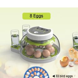 Egg Incubator for Hatching Eggs,Chicken Incubators