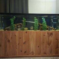 125 Gallon Fresh Water Fish Tank Set Up (**FISH NOT INCLUDED**)