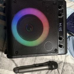 Speaker And Microphone 