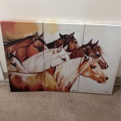 Beautiful Horse Canvas