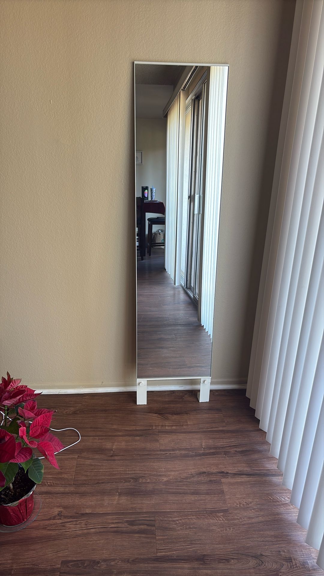 Full Length Door Mirror