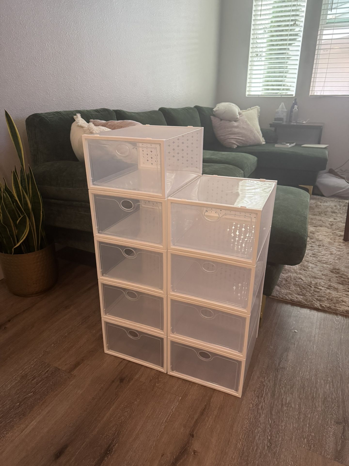 Clear Shoe Cases Closet Organizer