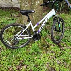 Royce Union Rtt 24" Mountain Bike