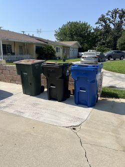 Trash Bin Cleaning