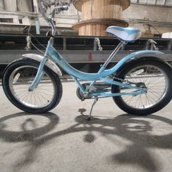 Kids Bike - Fat Tire