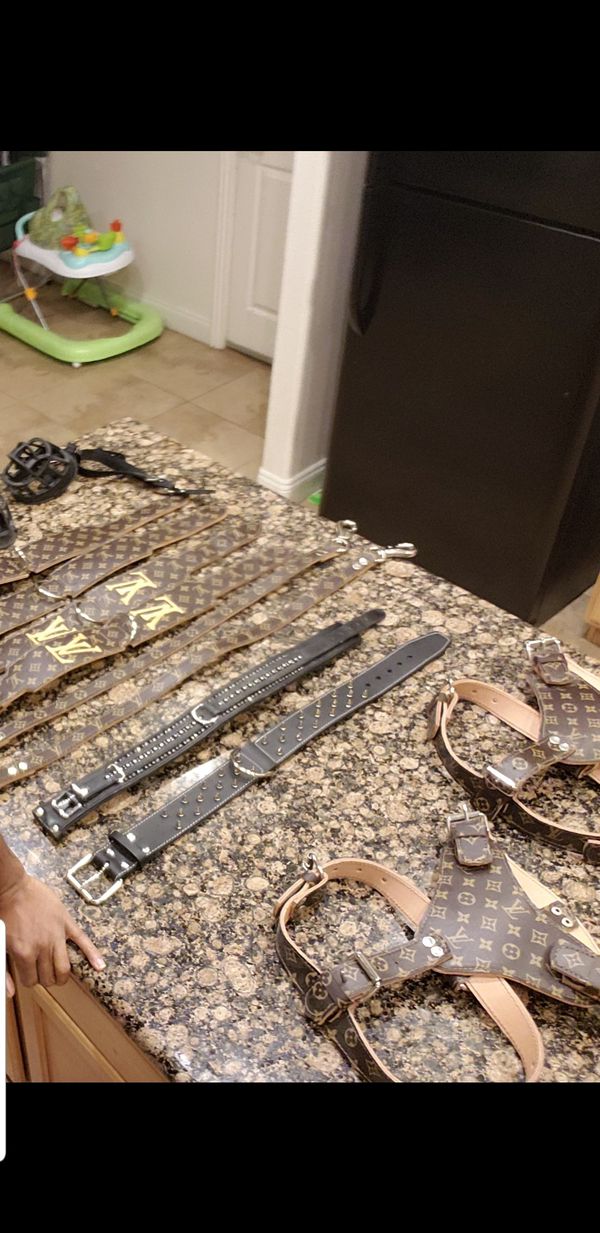 Louis Vuitton Dog Collars Leash And Harness For Sale In North Las