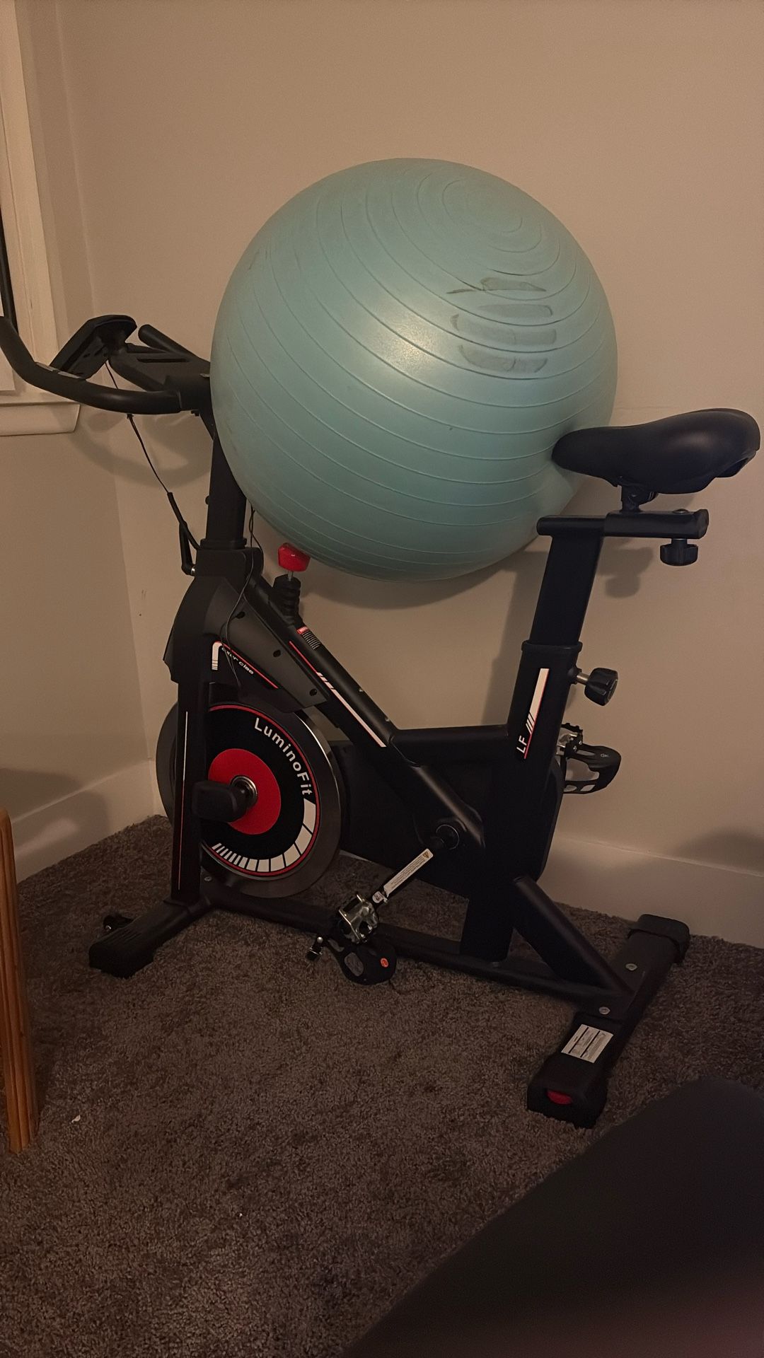 Exercise Bike With Ball