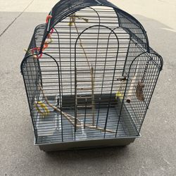 Bird Cage