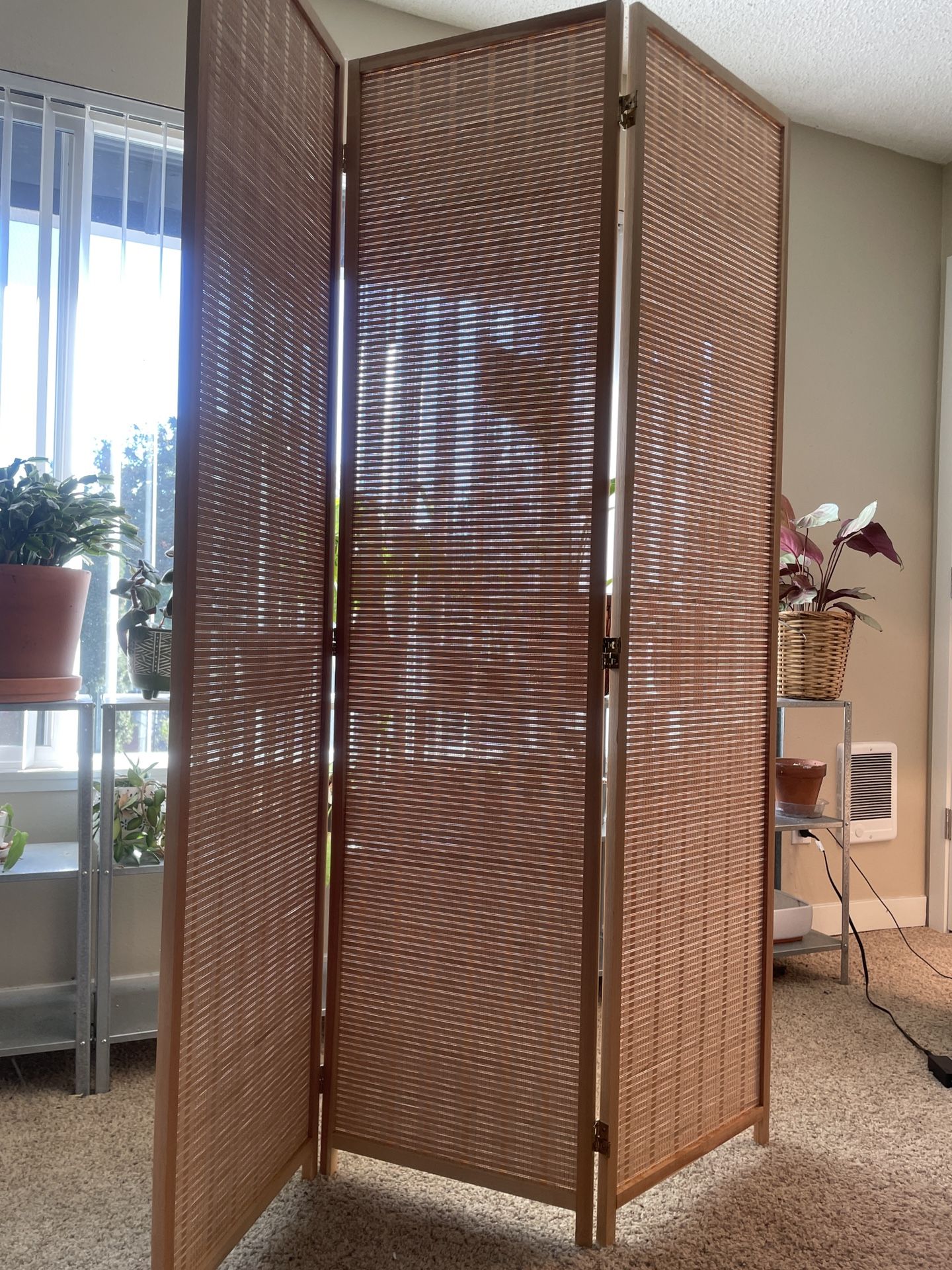 Pristine Condition, Bamboo Weaving, Screen Door