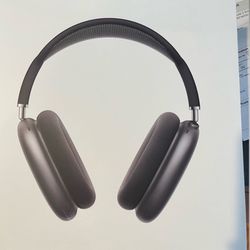 Apple headphones max
