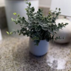 Faux Eucalyptus Plant in White Pot – Home Decor