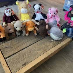 Beanie babies 