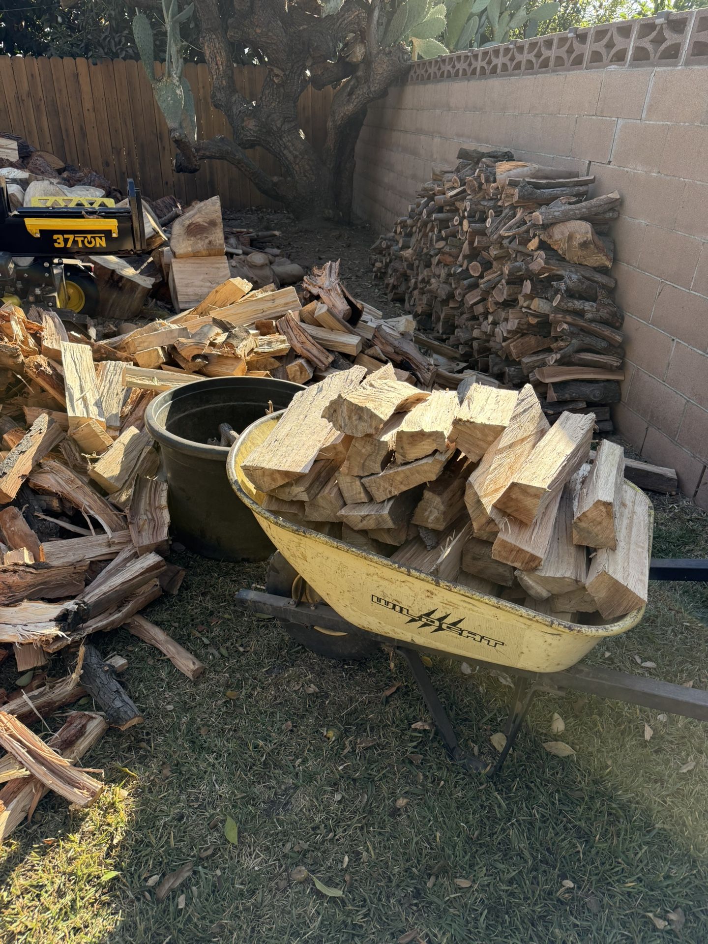 Firewood