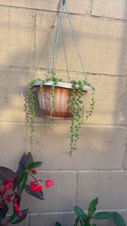 Beads I Guess