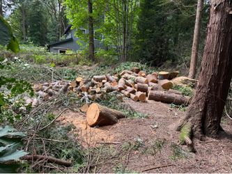 Free firewood
