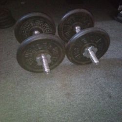 10 Pounds Standard Barbell Weights 