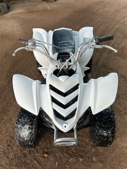 Yamaha raptor