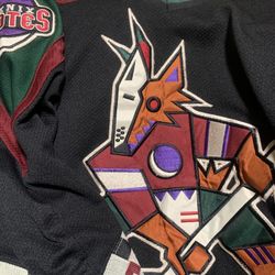 Phoenix Coyotes Starter NHL Jersey 