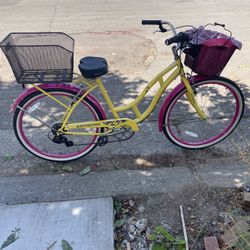 Cruiser Set Up For Pooch Haulin