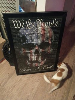 Big We the people fear no evil American flag skull picture