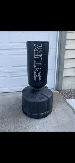 Century Wave Master And Everlast Kick Punch Bags