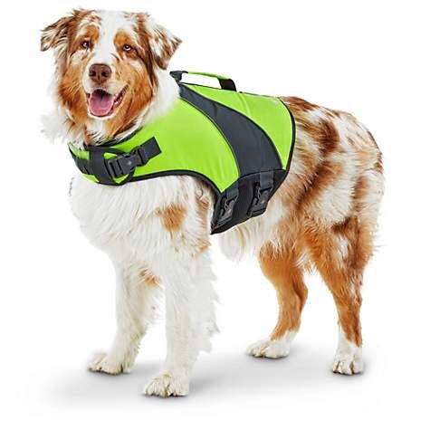 Dog Floatation Vest