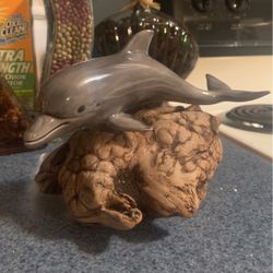 Dolphin On Driftwood