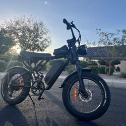 Ridstar Q20 E-bike
