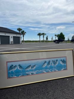 Vintage Shorebird Sandpiper Print, Gold Frame