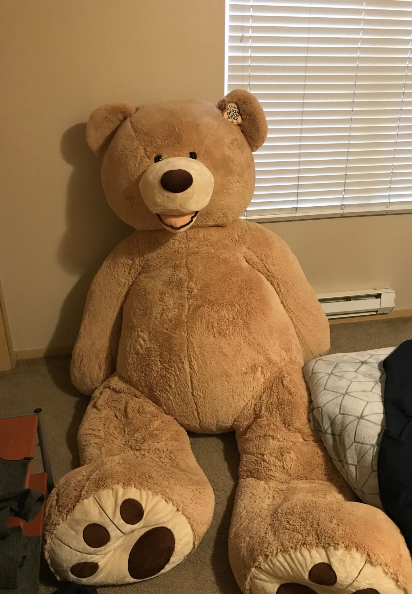 Teddy bear 🧸