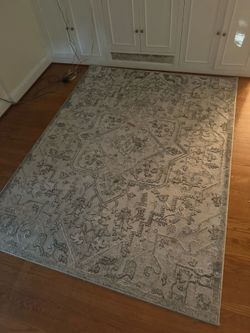 Living Room Rug