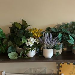 Large Artificial Plant Bundle – 8 Plants – $55 OBO 