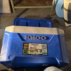 Igloo Cooler