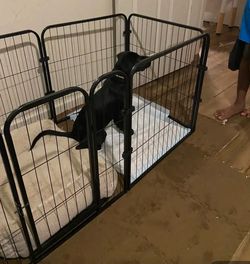 Portable Pet Playpen with Door – Indoor  Dog Fence