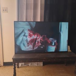 50 Inch Vizio Smart TV. 