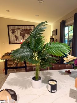 Plant Decor