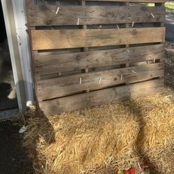 Party /hay