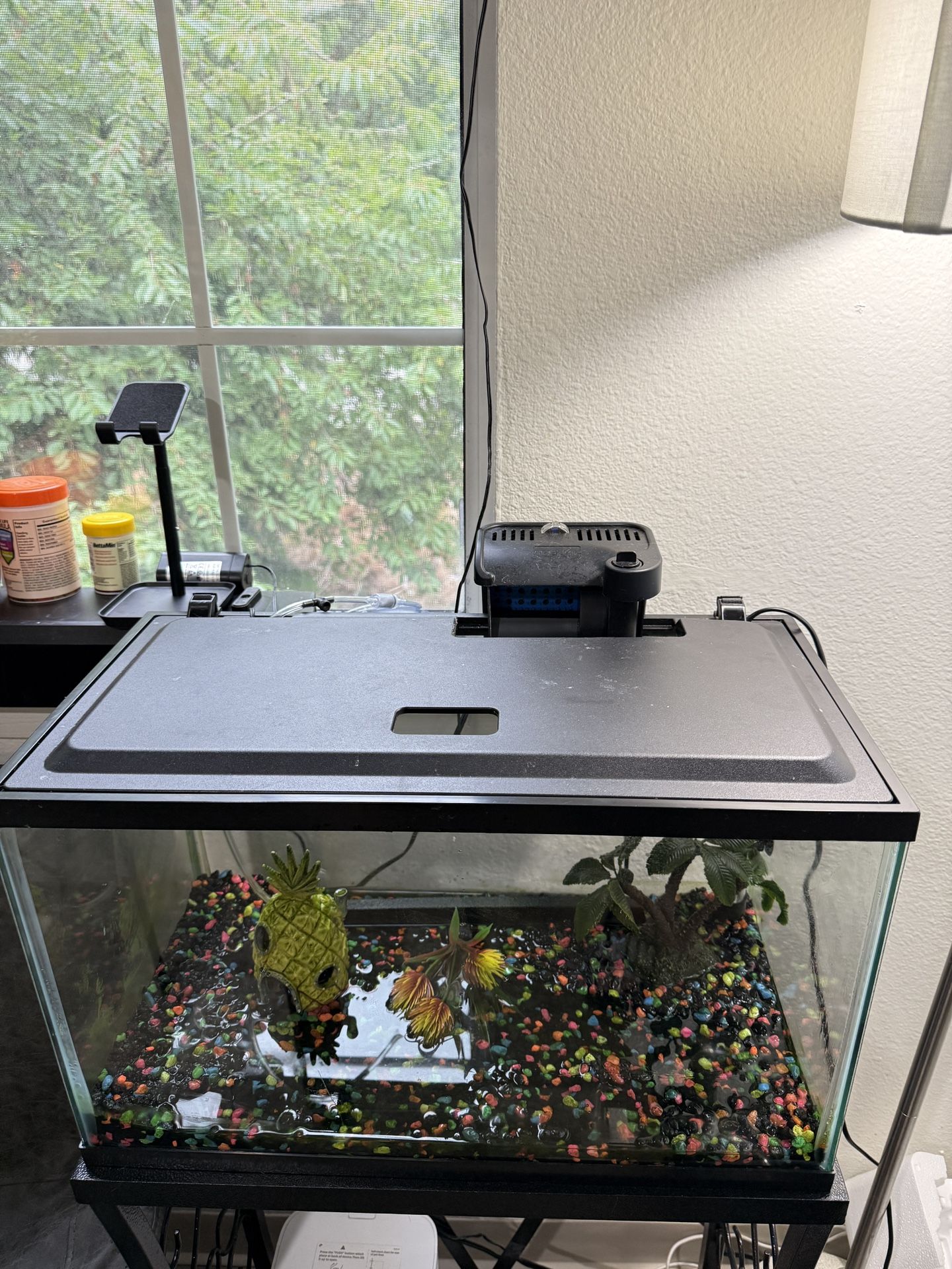 10 Gallon Tank With Everything Works