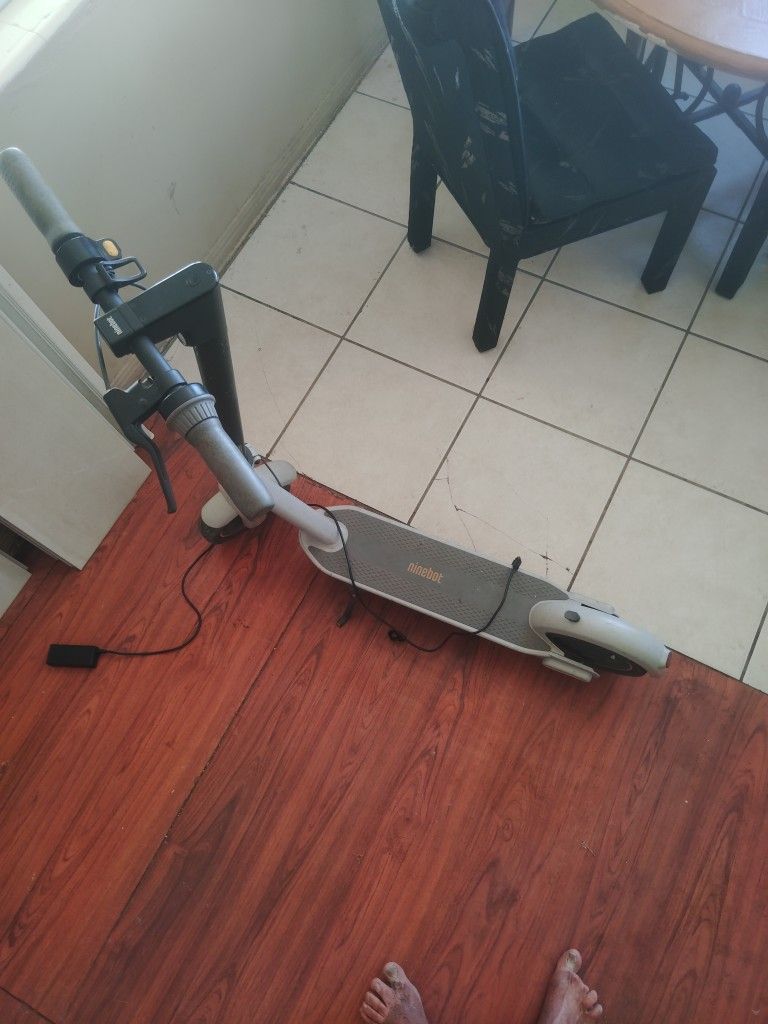 Ninebot Electric Scooter