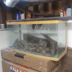 75 Gallon Fish Tank