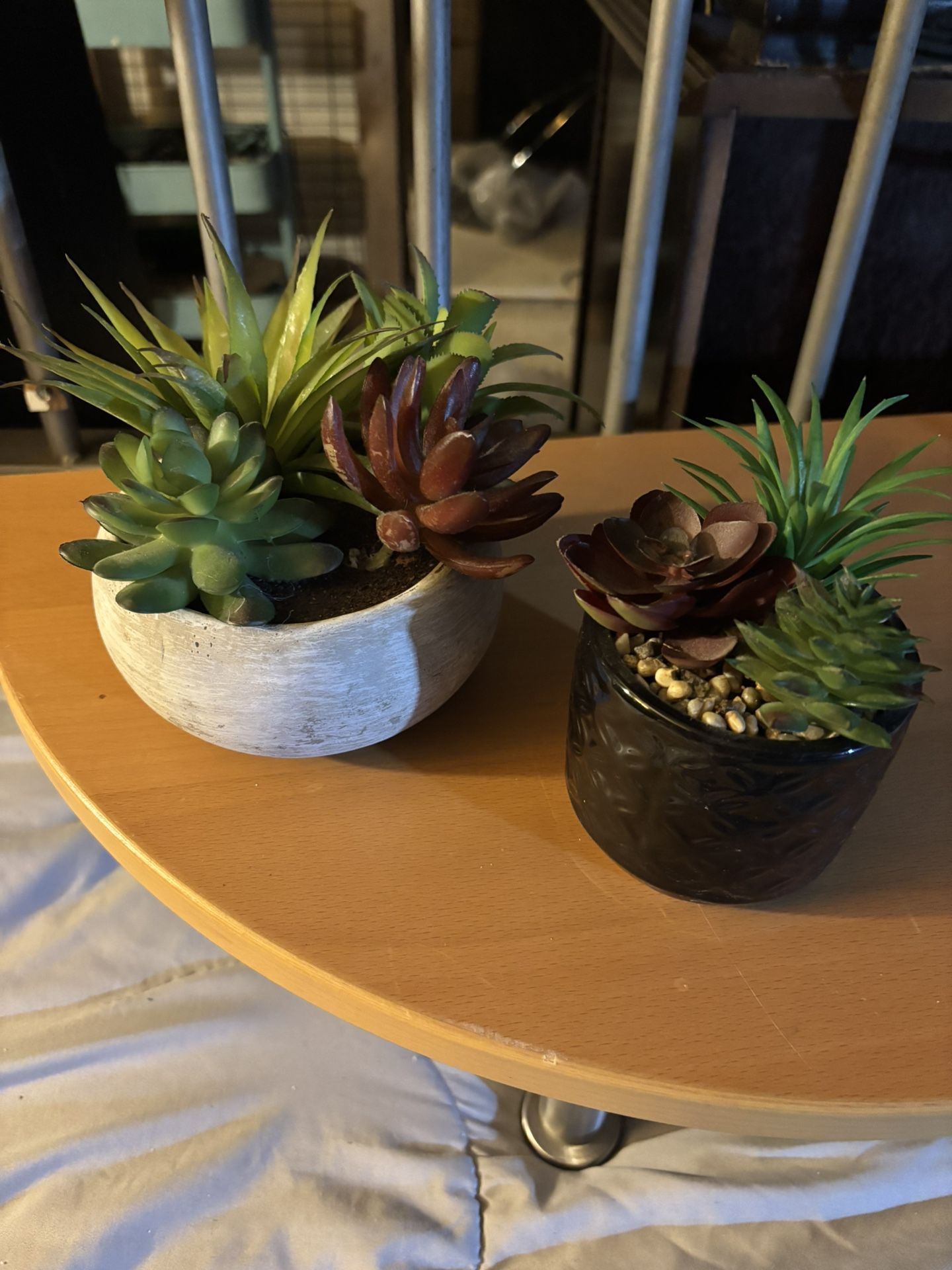 Succulent Decor