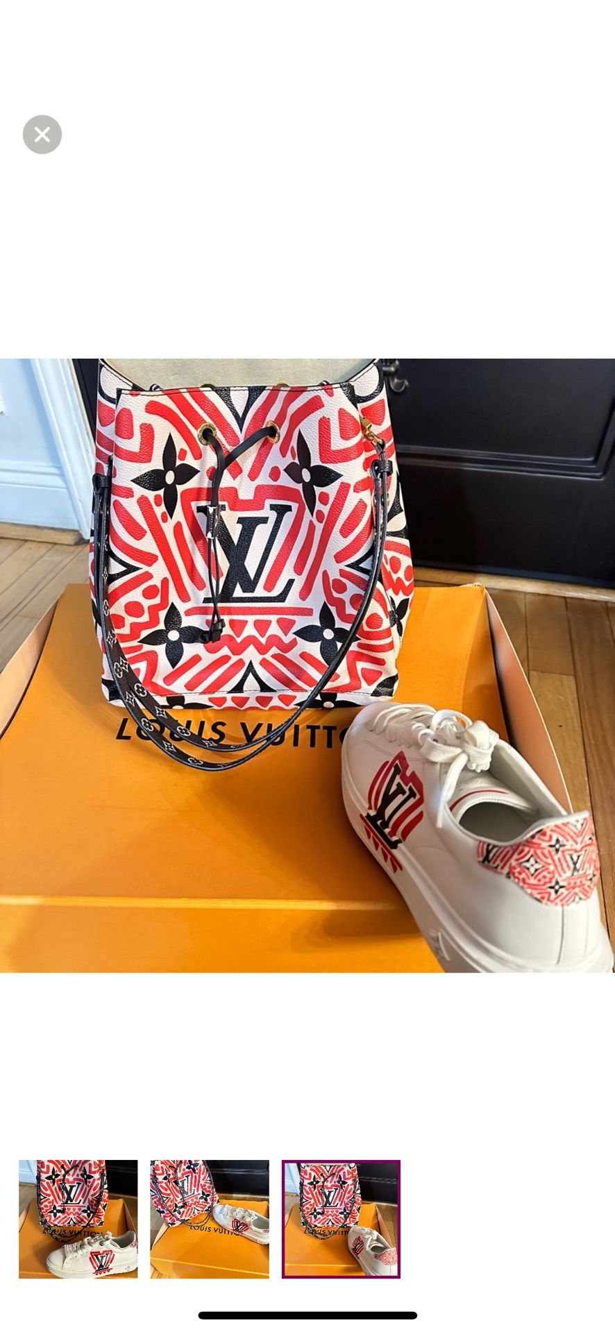 Louis Vuitton Purse And Shoes